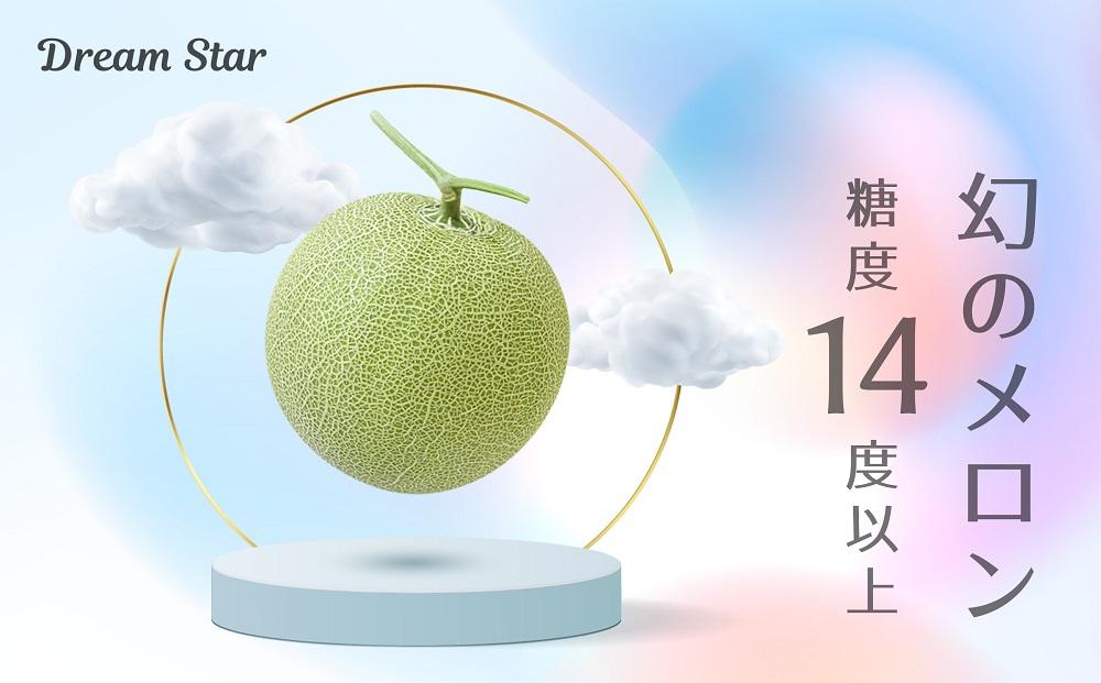 さぬきメロン Dream Star 1.1kg以上｜メロン 糖度 14度以上 甘い フルーツ 果物 くだもの 特産 ふるさと 坂出市 香川 さぬき 食品 人気 おすすめ 送料無料