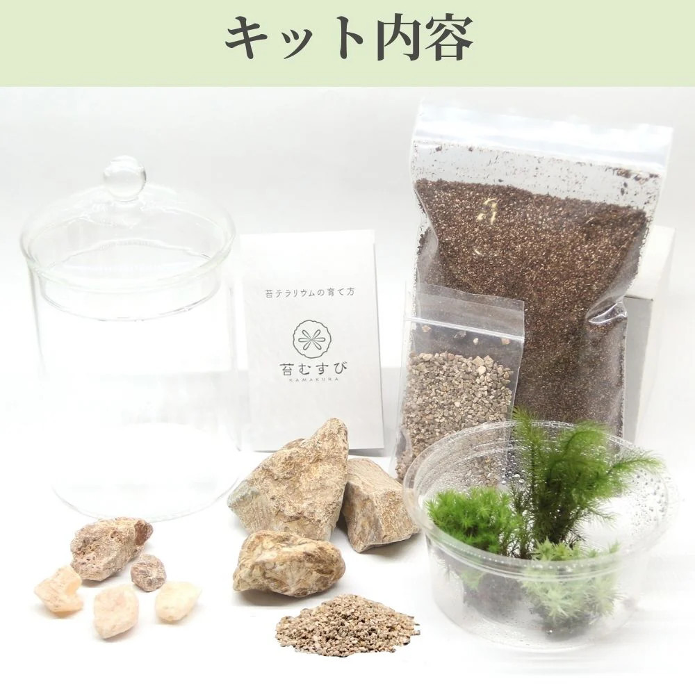 【ベーシック編】苔テラリウム制作キット（ツール付き）