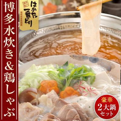 博多水炊きと鶏しゃぶの2大鍋セット (計4～6人前)