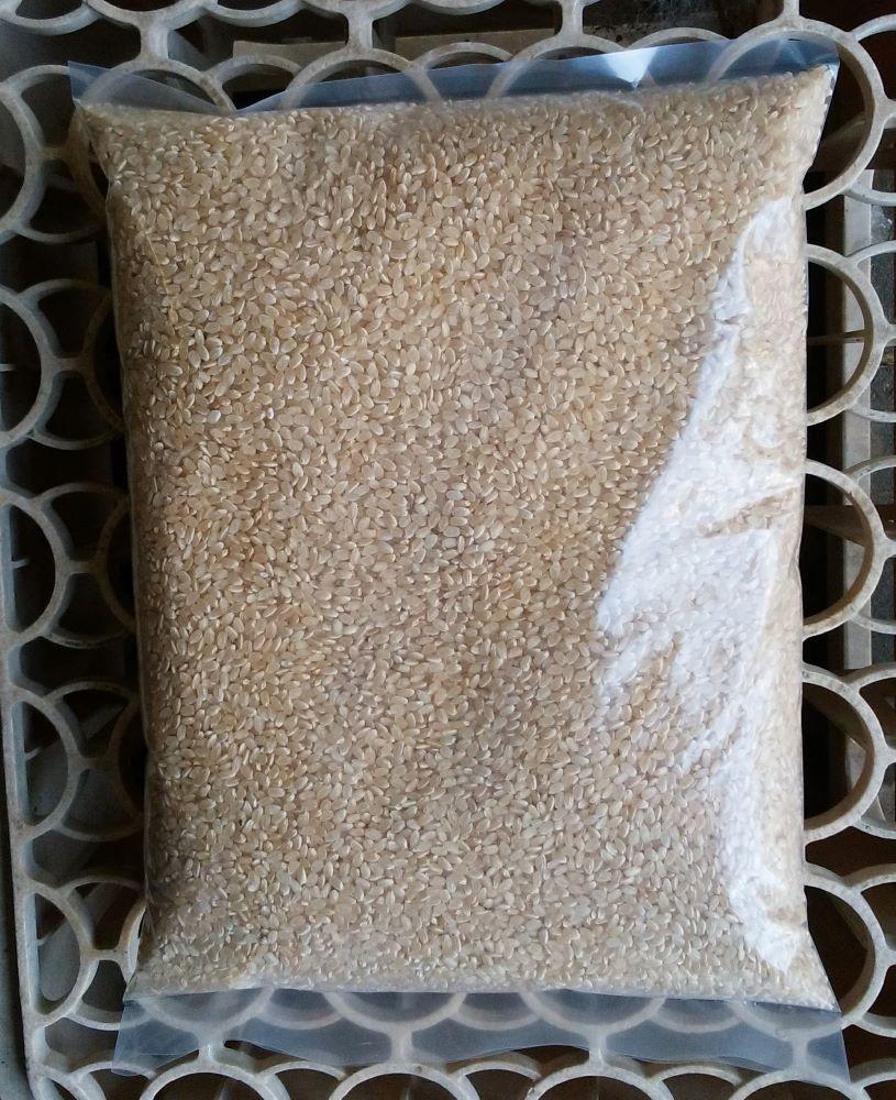 高島農場の農薬不使用コシヒカリ10kg玄米　JTBのふるさと納税サイト　[ふるぽ]