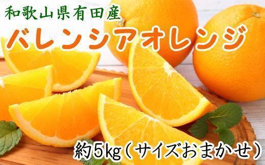 和歌山県有田産バレンシアオレンジ約5kg（サイズおまかせ）★2025年６月下旬より順次発送予定【TM52】