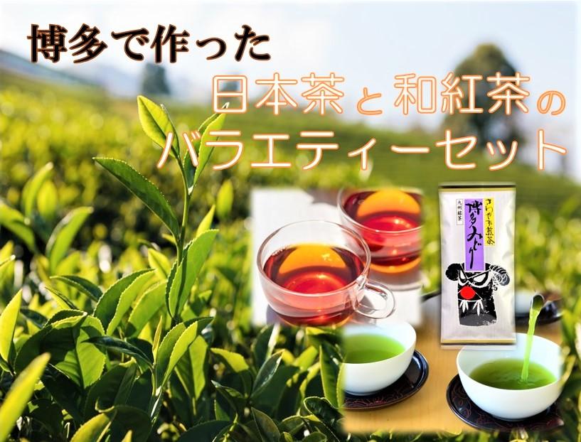 博多で作った日本茶と和紅茶のバラエティーセット