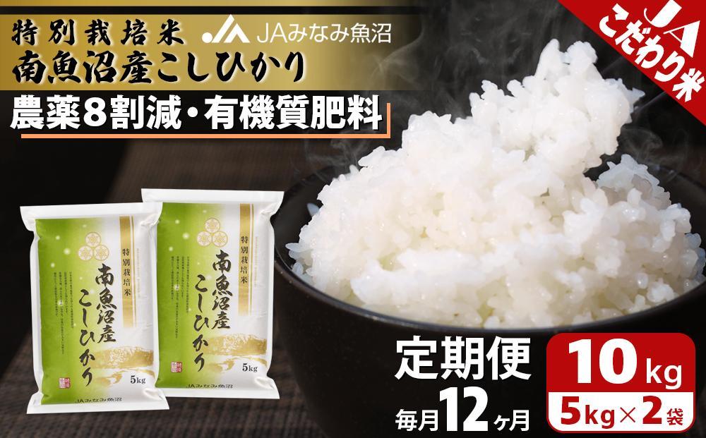 【JAみなみ魚沼定期便】特別栽培米南魚沼産こしひかり8割減（10kg×全12回）精米 農薬8割削減 有機肥料 精米HACCP認定工場 特A獲得日本一産地 高品質精米 もっちり甘い 南魚沼産コシヒカリ