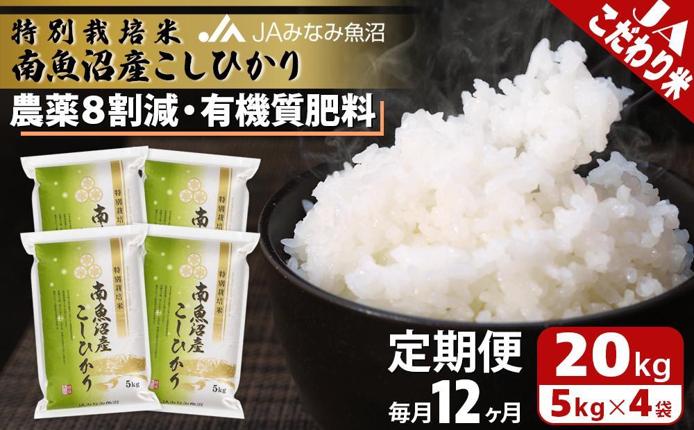 【JAみなみ魚沼定期便】特別栽培米南魚沼産こしひかり8割減（20kg×全12回）精米&nbsp;農薬8割削減&nbsp;有機肥料&nbsp;精米HACCP認定工場&nbsp;特A獲得日本一産地&nbsp;高品質精米&nbsp;もっちり甘い&nbsp;南魚沼産コシヒカリ