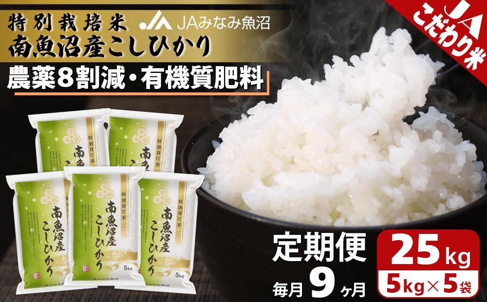 ☆新米☆[白米]特別栽培米コシヒカリ５ｋｇ有機肥料減農薬栽培 - 米