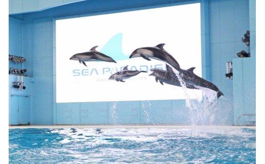 横浜・八景島シーパラダイス　ワンデーパス（水族館4施設＋アトラクション）大人2名さま＋小中学生1名さま