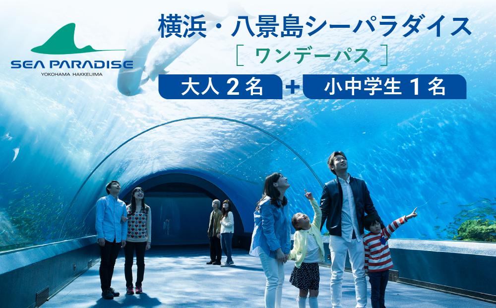 横浜・八景島シーパラダイス　ワンデーパス（水族館4施設＋アトラクション）大人2名さま＋小中学生1名さま