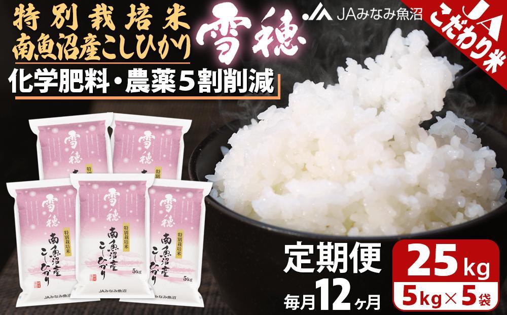 【JAみなみ魚沼定期便】特別栽培米南魚沼産こしひかり「雪穂」（25kg×全12回）精米&nbsp;農薬5割削減&nbsp;精米HACCP認定工場&nbsp;特A獲得日本一産地&nbsp;高品質精米&nbsp;もっちり甘い&nbsp;南魚沼産コシヒカリ