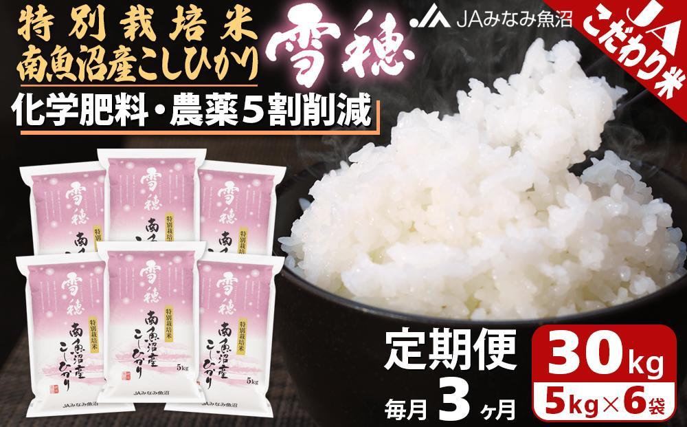 【JAみなみ魚沼定期便】特別栽培米南魚沼産こしひかり「雪穂」（30kg×全3回）精米&nbsp;農薬5割削減&nbsp;精米HACCP認定工場&nbsp;特A獲得日本一産地&nbsp;高品質精米&nbsp;もっちり甘い&nbsp;南魚沼産コシヒカリ