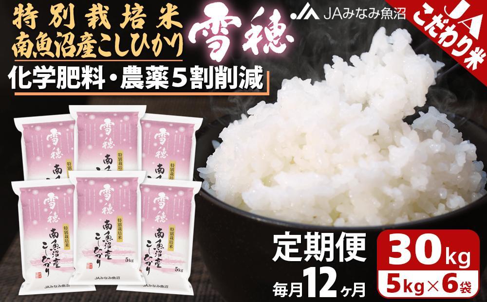 【JAみなみ魚沼定期便】特別栽培米南魚沼産こしひかり「雪穂」（30kg×全12回）精米&nbsp;農薬5割削減&nbsp;精米HACCP認定工場&nbsp;特A獲得日本一産地&nbsp;高品質精米&nbsp;もっちり甘い&nbsp;南魚沼産コシヒカリ