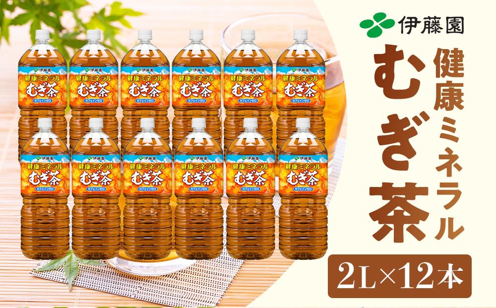 ふるさと納税 伊藤園 健康ミネラルむぎ茶 2L×12本(2ケース) 千葉県香取