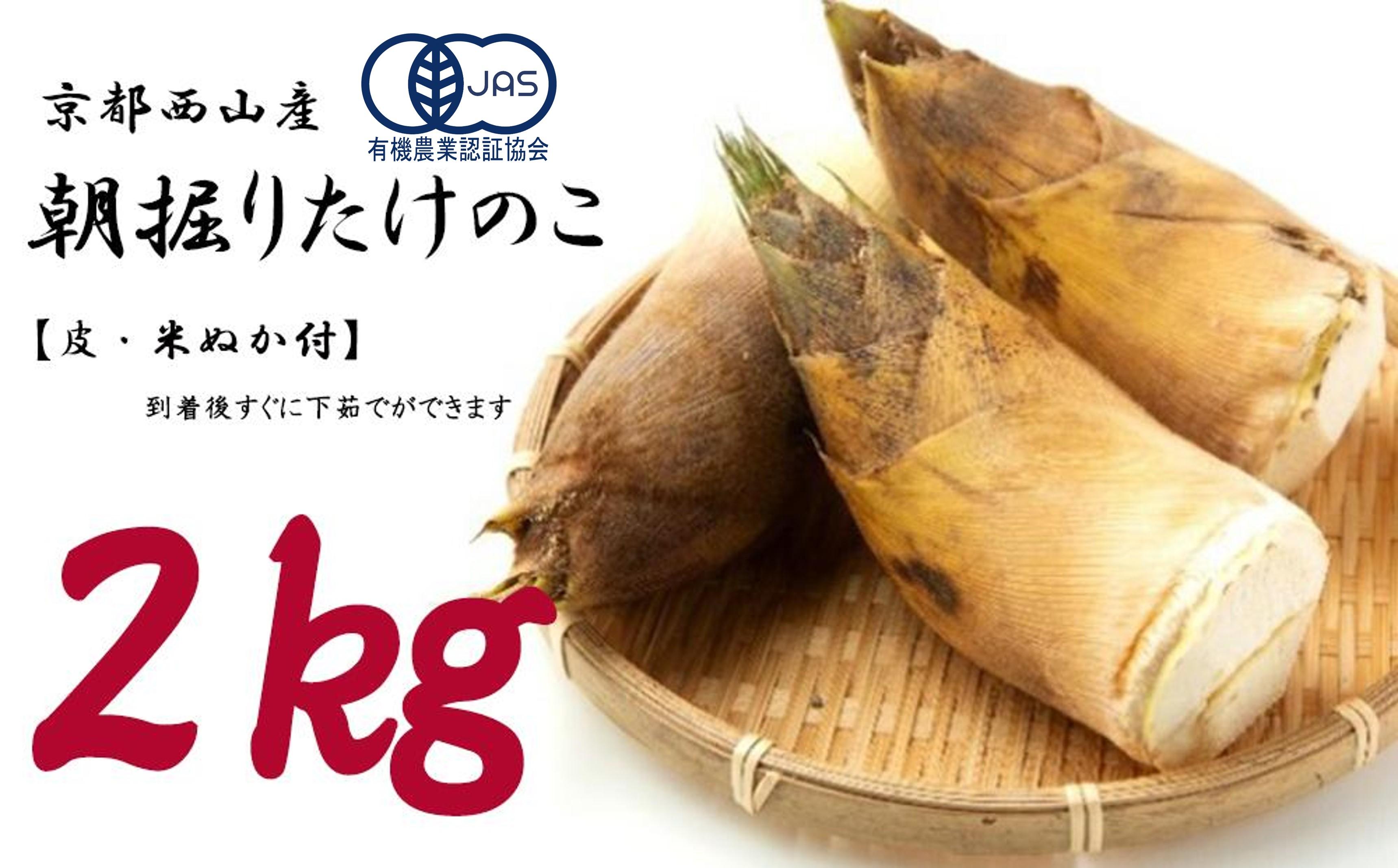 朝掘り 京都山城産 訳あり たけのこ 白子入り 2キロ - メルカリ