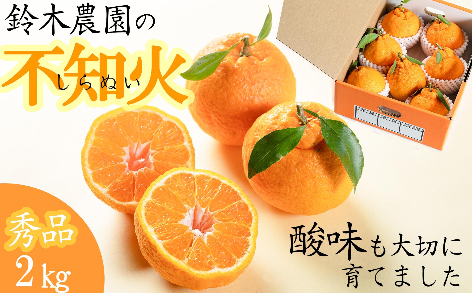 【R7年出荷分】鈴木農園の不知火２ｋｇ（２L又は３L）　和歌山県から農家直送！デコポン　しらぬい　オレンジ　皮がむきやすい【北海道・沖縄・一部離島への配送不可】