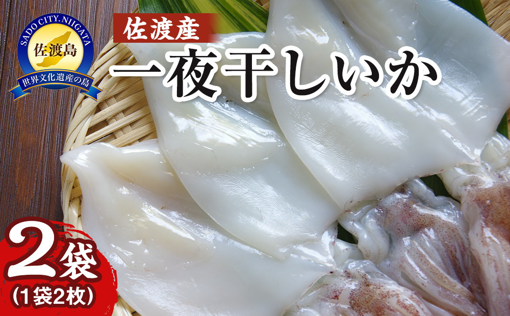 干物 イカ 佐渡産 4枚 ( 1袋2枚 × 2 ) 一夜干しいか