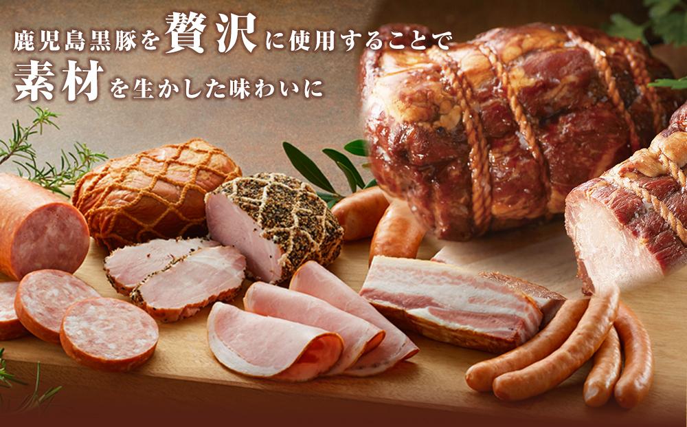 鹿児島 南州農場 黒豚！スパイシーサラミ5袋(20本入り) - 肉類(加工食品)