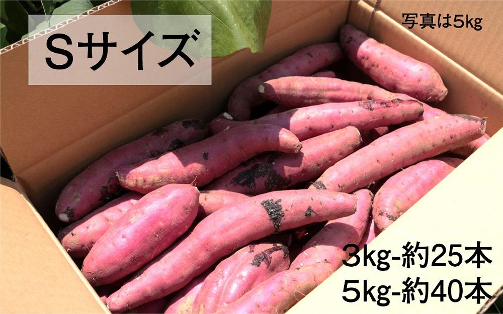 さつまいも 紅はるか 堀りたて 5kg ( 1箱 ) Sサイズ 新物 鹿児島県産 2024年12月末までに出荷 | JTBのふるさと納税サイト  [ふるぽ]