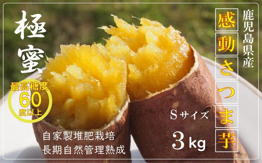 【鹿児島県産】 熟成 紅はるか 3kg (1箱 ) Sサイズ さつまいも