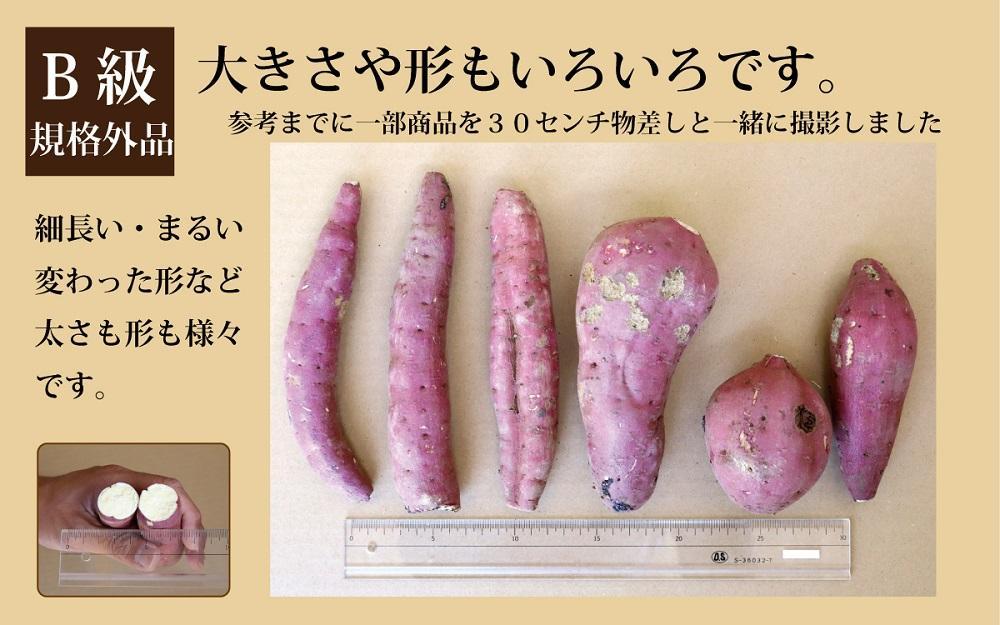 紅はるか10kg程度大サイズ - 野菜