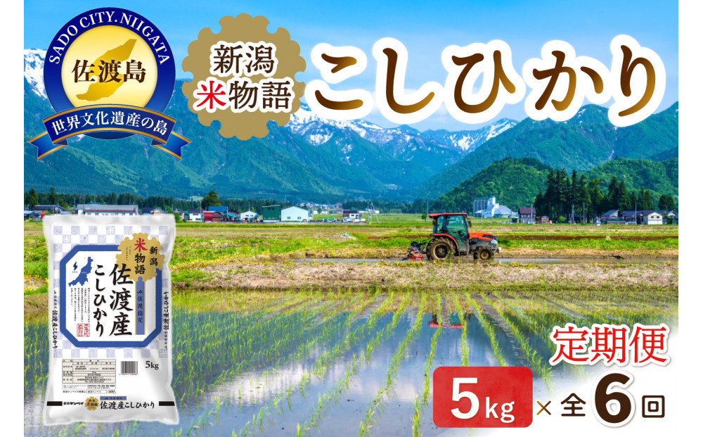 【6ヶ月連続お届け】新潟米物語佐渡産コシヒカリ（5kg）