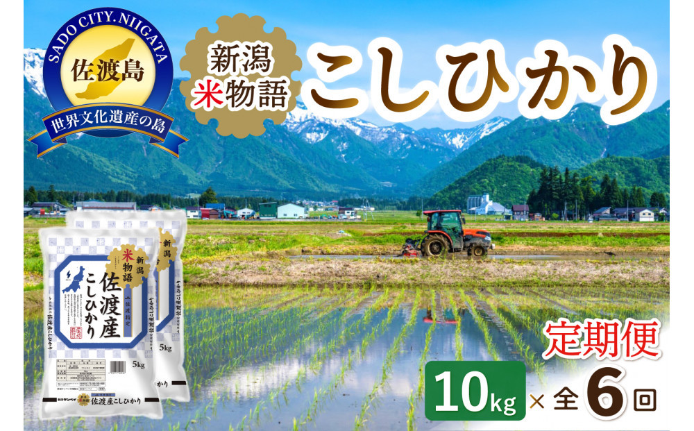 【6ヶ月連続お届け】新潟米物語佐渡産コシヒカリ（10kg（5kg×2））