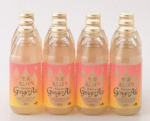 生姜丸しぼりジンジャーエール12本セット