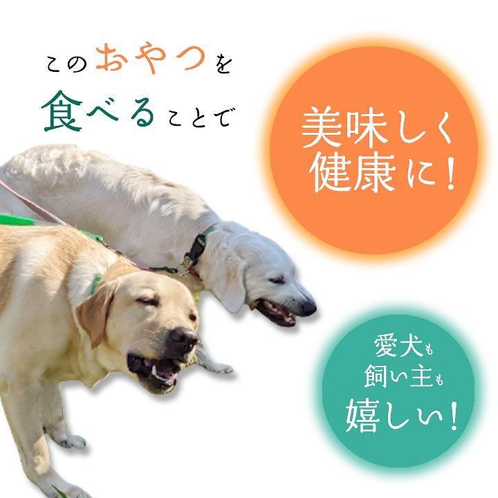 無添加 犬用 おやつ 鹿骨ジャーキー 300g 鹿 ジャーキー ペット ドッグフード 本州鹿/ 山梨県 富士河口湖町