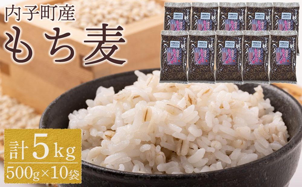 内子町産 もち麦（5kg）【食品 加工食品 人気 おすすめ 送料無料】