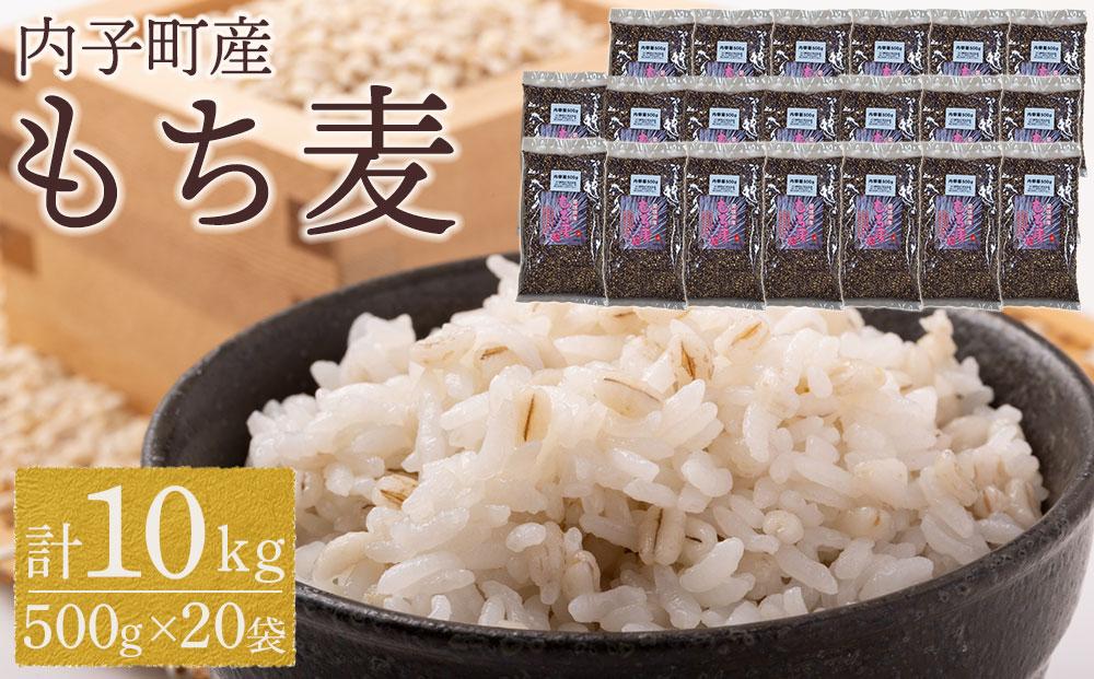 内子町産 もち麦（10kg）【食品 加工食品 人気 おすすめ 送料無料】