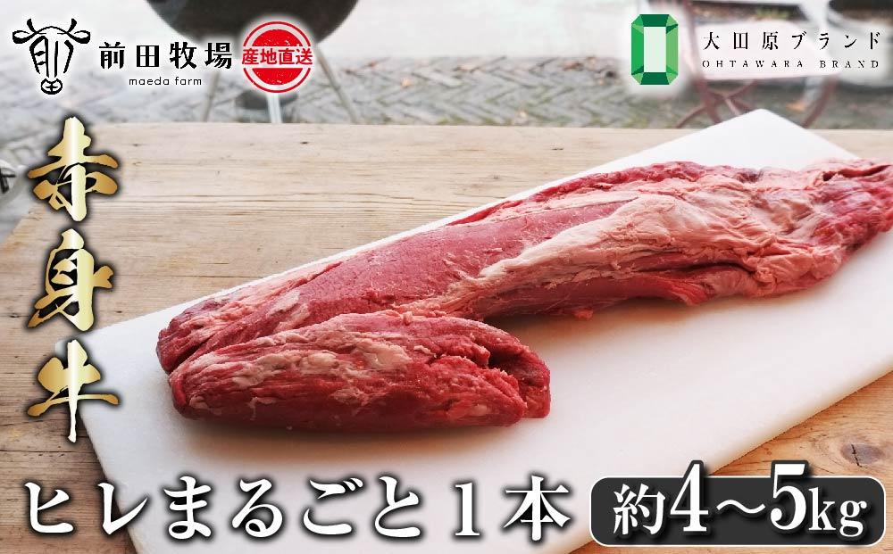 【大田原 前田牧場直送 赤身牛】ヒレまるごと1本（4～5kg） | ブランド牛 牛肉 フィレ ステーキ ヒレ 産地直送 産直