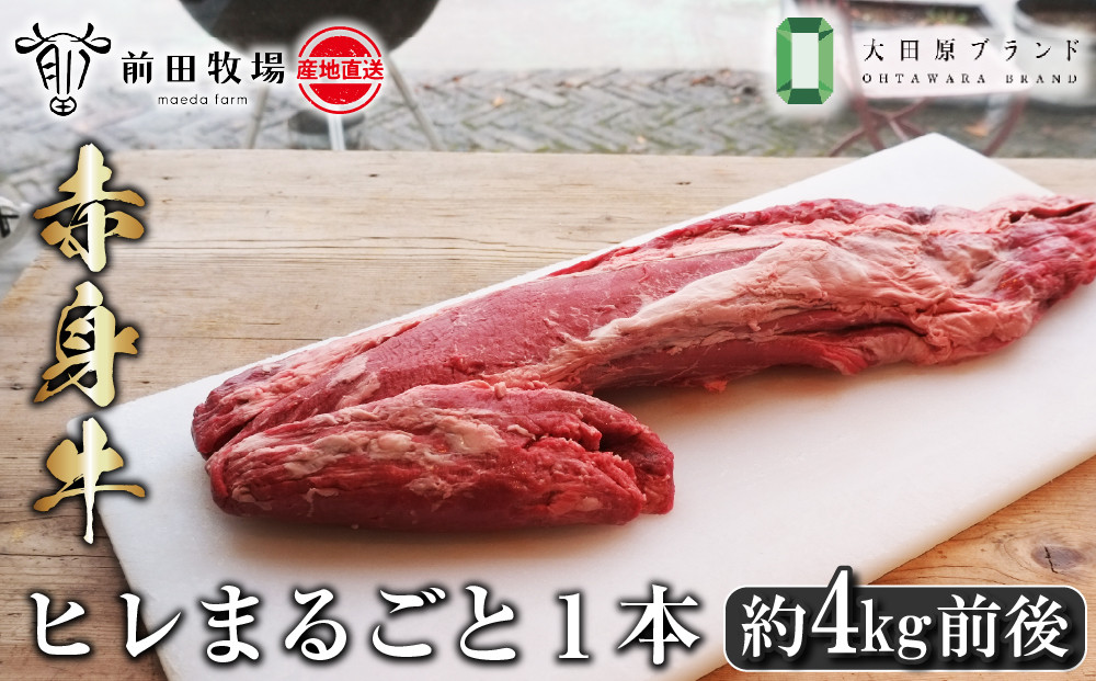 【大田原 前田牧場直送 赤身牛】ヒレまるごと1本（4kg前後） | ブランド牛 牛肉 フィレ ステーキ ヒレ 産地直送 産直