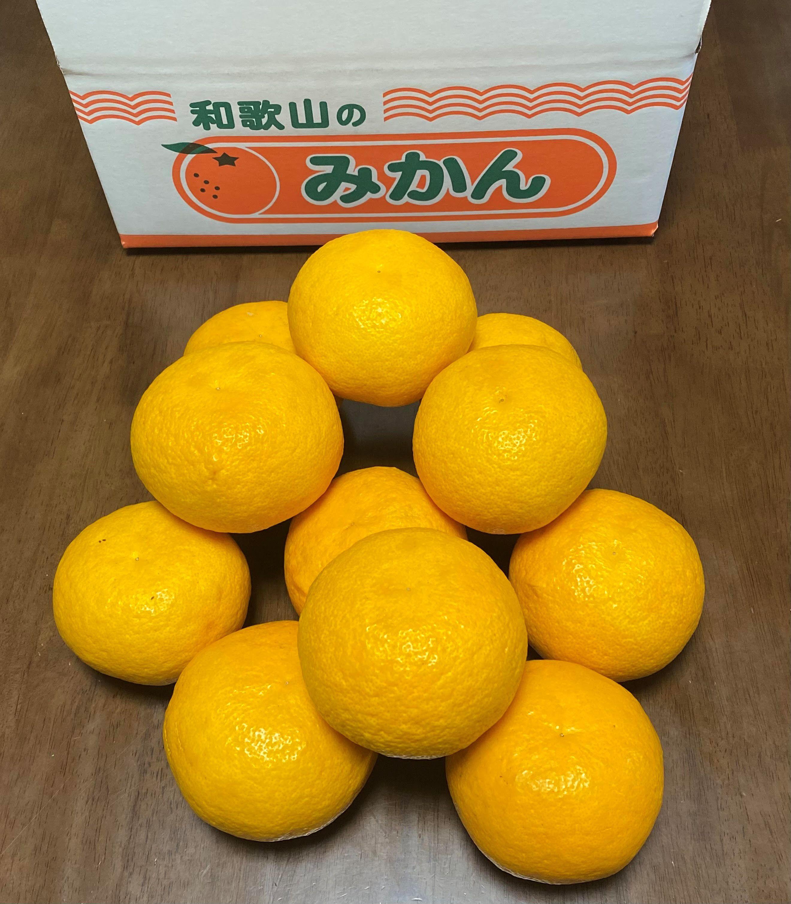 地元印南町産&nbsp;樹熟&nbsp;甘夏みかん&nbsp;約4kg（10個前後)　大玉L～2Lサイズ