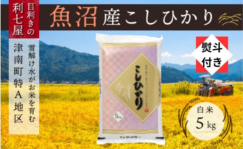 無地熨斗付き【令和5年産】【魚沼産コシヒカリ 白米5kg】雪解け水がお米を育む、津南町特A地区の美味しいお米。