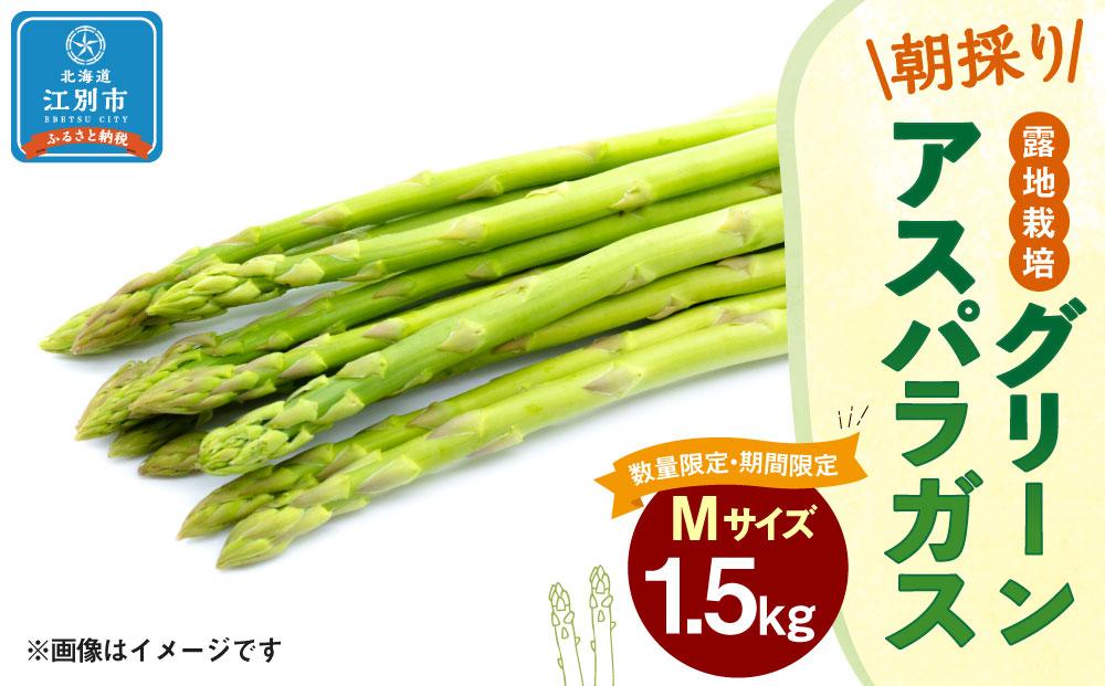産直長崎産アスパラガス2L.Lサイズ 500グラム - 野菜