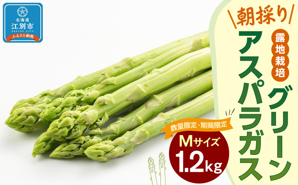 【先行予約/2026年4月下旬より発送開始】BO003＜数量限定・期間限定＞グリーンアスパラガス(Mサイズ)&nbsp;1.2kg&nbsp;露地栽培&nbsp;朝採り