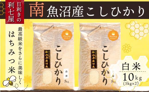 令和5年産 新米】南魚沼産コシヒカリ『はちみつ米』白米10kg×全12回