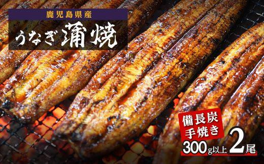 鹿児島県大隅産&nbsp;うなぎ備長炭手焼蒲焼２尾(合計300g以上）うなぎ&nbsp;鰻&nbsp;ウナギ&nbsp;蒲焼き&nbsp;蒲焼&nbsp;かばやき&nbsp;魚&nbsp;魚介&nbsp;魚貝&nbsp;海鮮&nbsp;うな重&nbsp;ひつまぶし&nbsp;蒲焼&nbsp;訳あり&nbsp;ギフト&nbsp;人気&nbsp;おすすめ&nbsp;鹿児島県&nbsp;大崎町&nbsp;大隅半島&nbsp;鰻&nbsp;うなぎ&nbsp;ウナギ&nbsp;鰻&nbsp;人気&nbsp;ウナギ&nbsp;うなぎ&nbsp;おすすめ&nbsp;ランキング&nbsp;うなぎ&nbsp;おいしい&nbsp;unagi&nbsp;うなぎ&nbsp;【うなぎ蒲焼&nbsp;国産&nbsp;うなぎ&nbsp;unagi&nbsp;鰻&nbsp;ウナギ&nbsp;うなぎ蒲焼】