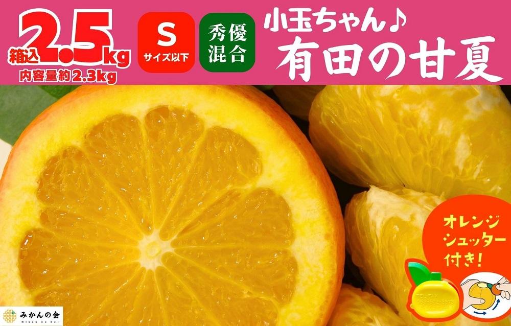 甘夏 あまなつ 甘夏みかん 農薬不使用 5キロ - 果物