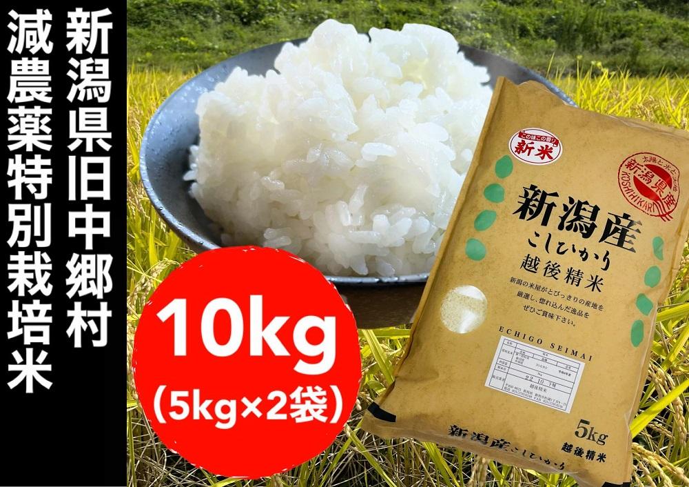 令和５年新米 佐賀県産七夕こしひかり10kg 減農薬米 米10kg