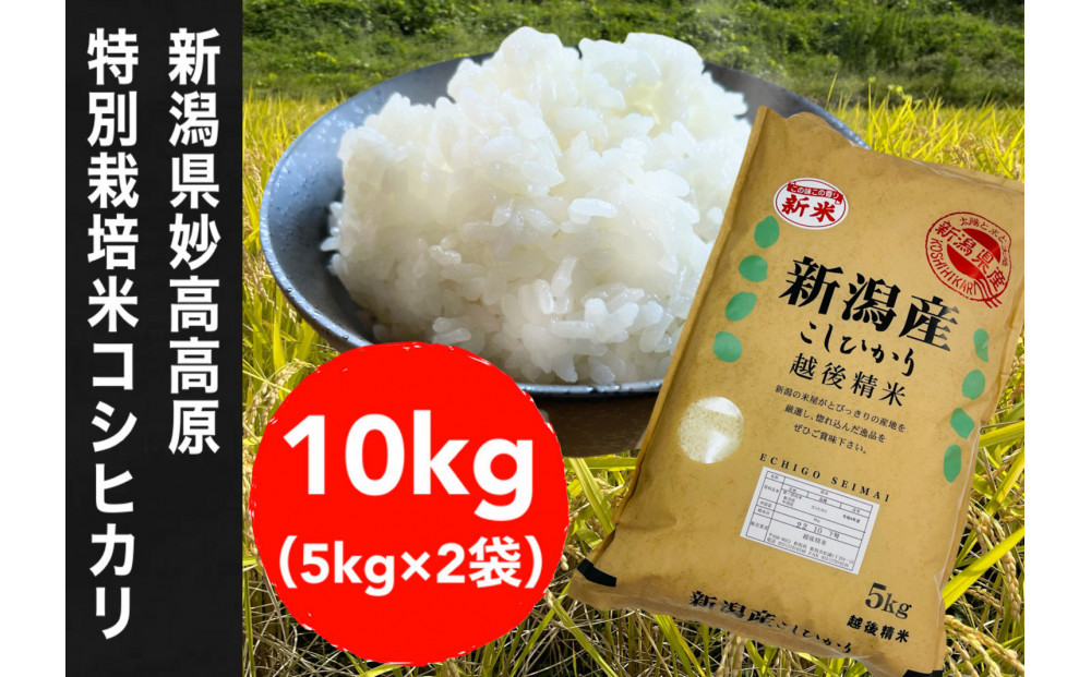 【令和7年度産新米】新潟県妙高高原減農薬特別栽培米コシヒカリ&nbsp;10kg