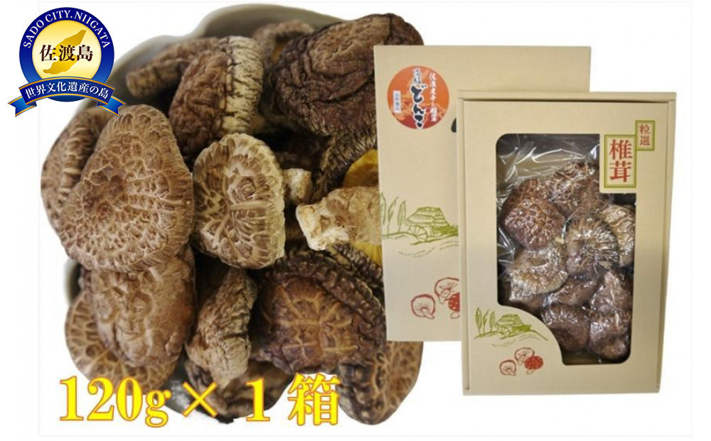 肉厚!佐渡産高級どんこしいたけ(120g)×1袋