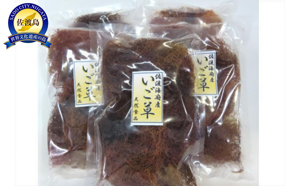 佐渡海府産いご草　50g×5袋セット