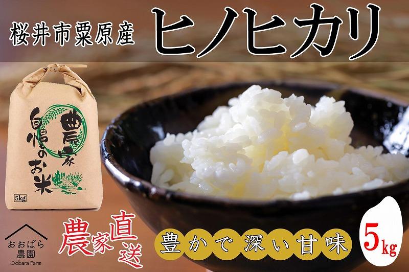 【玄米】先行予約販売＜令和６年度産＞桜井市粟原産ヒノヒカリ  5kg