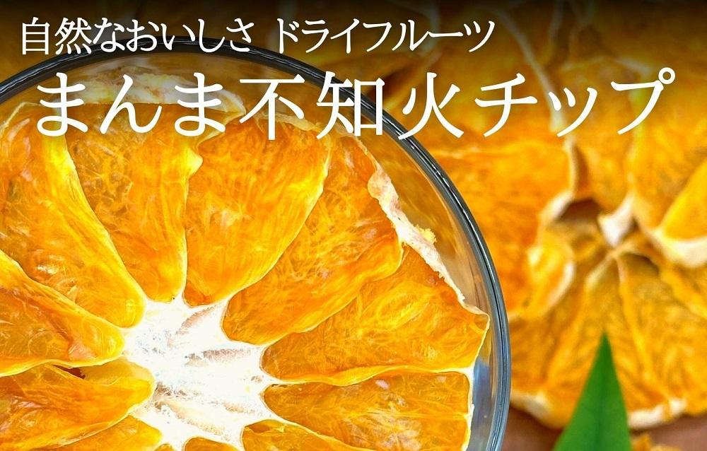 ドライフルーツ しらぬいチップ 200g ( 20g × 10袋 ) 和歌山県産 果物使用 自社製造 【みかんの会】