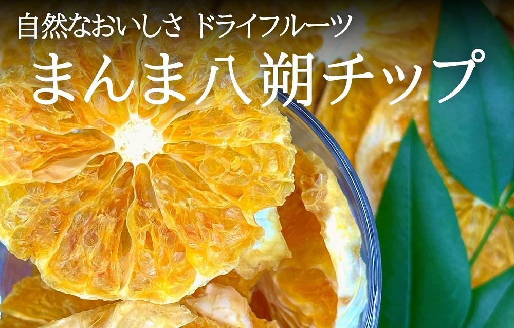 ドライフルーツ はっさくチップ 100g ( 20g × 5袋 ) 和歌山県産 果物使用 自社製造 【みかんの会】 