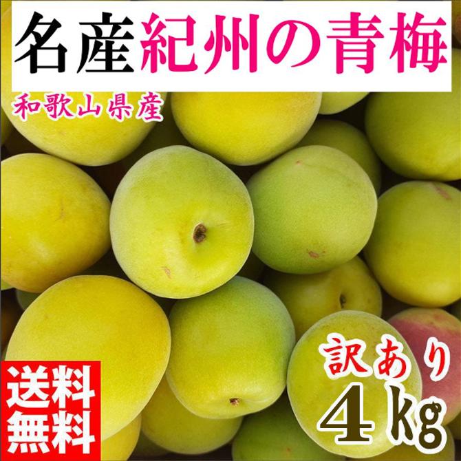 青梅 4kg 紀州南高梅 シロップ・梅酒・梅干し用等 和歌山県有田産 訳あり　2025年5月下旬～7月上旬発送予定