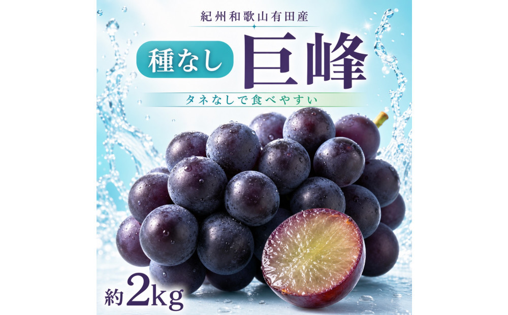 紀州有田産の種なし巨峰ぶどう約２kg【先行予約】【2026年8月中旬以降発送予定】