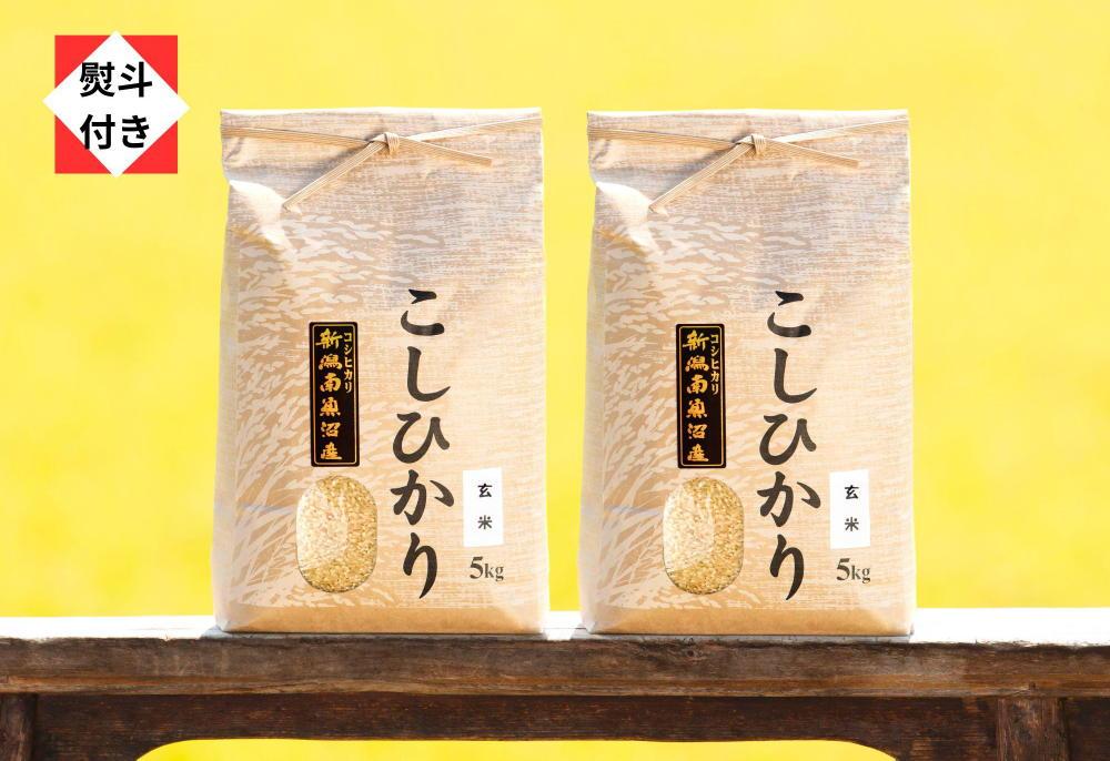 令和5年産 新潟県産コシヒカリ 玄米10kg - 米・雑穀・粉類