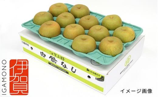 ふるさと納税】白鳳梨(あきづき)4L 12玉 ※お届けは9月中旬頃の