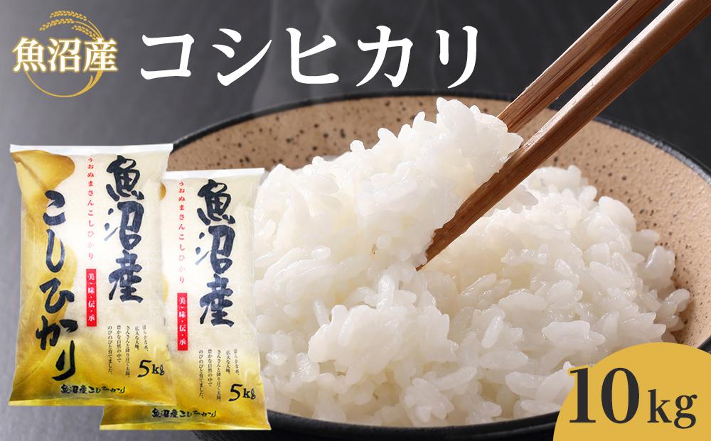 魚沼産コシヒカリ　10kg　2024年10月～発送開始｜新潟県　魚沼　こしひかり　令和6年産