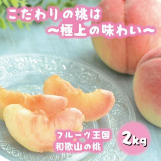 フルーツ王国　和歌山の桃　約２kg（fr-06）【先行予約】【2024年6月中旬～2024年7月下旬発送】